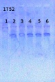 Thumbnail for version as of 12:03, 31 May 2013