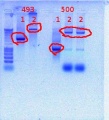 Thumbnail for version as of 14:05, 7 December 2011