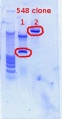 Thumbnail for version as of 11:29, 8 February 2012
