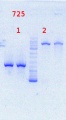 Thumbnail for version as of 17:36, 17 January 2014