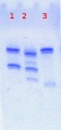 Thumbnail for version as of 14:48, 9 June 2013