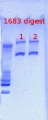 Thumbnail for version as of 16:37, 25 February 2013