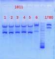 Thumbnail for version as of 15:56, 13 September 2013