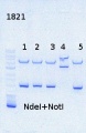 Thumbnail for version as of 10:53, 15 August 2013