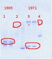 Thumbnail for version as of 14:18, 20 December 2013