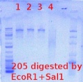 Thumbnail for version as of 15:07, 30 April 2012
