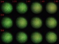 Thumbnail for version as of 16:45, 10 January 2012