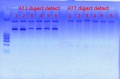 Thumbnail for version as of 13:05, 9 December 2011