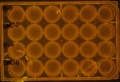 Thumbnail for version as of 11:46, 27 July 2016