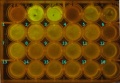 Thumbnail for version as of 11:33, 26 June 2014