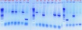 Thumbnail for version as of 17:40, 26 October 2010