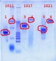 Thumbnail for version as of 14:13, 22 March 2012