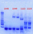 Thumbnail for version as of 18:19, 18 January 2013