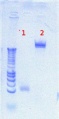 Thumbnail for version as of 14:07, 9 July 2012