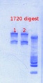 Thumbnail for version as of 13:47, 16 April 2013