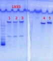 Thumbnail for version as of 09:47, 30 August 2013