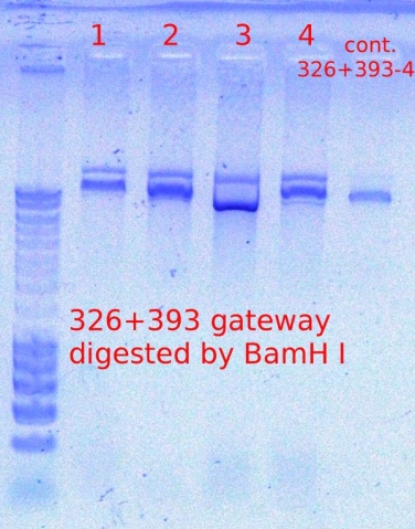 326+393 digest 12.5.2011.JPG