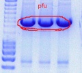 Thumbnail for version as of 10:25, 30 September 2011