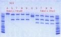 Thumbnail for version as of 14:18, 6 May 2012