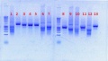 Thumbnail for version as of 15:32, 19 September 2012