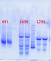 Thumbnail for version as of 16:02, 18 July 2013