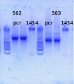 Thumbnail for version as of 16:48, 1 May 2013