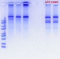 Thumbnail for version as of 15:02, 20 September 2018