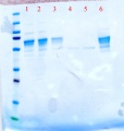Thumbnail for version as of 12:16, 4 May 2011