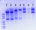 Thumbnail for version as of 15:41, 27 June 2017