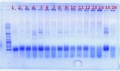 Thumbnail for version as of 10:22, 7 June 2012