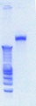 Thumbnail for version as of 15:44, 27 June 2012