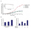 Thumbnail for version as of 17:39, 12 October 2012