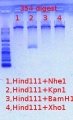 Thumbnail for version as of 12:43, 18 May 2012