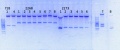 Thumbnail for version as of 16:15, 28 July 2014