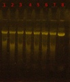 Thumbnail for version as of 10:50, 8 July 2014