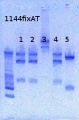 Thumbnail for version as of 11:50, 7 May 2013
