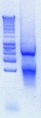 Thumbnail for version as of 12:56, 21 June 2012