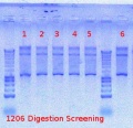 Thumbnail for version as of 12:21, 23 July 2012