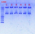 Thumbnail for version as of 14:48, 21 December 2012