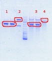 Thumbnail for version as of 10:52, 15 November 2013