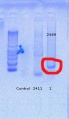 Thumbnail for version as of 13:02, 30 September 2016