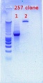 Thumbnail for version as of 14:43, 18 January 2012