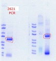Thumbnail for version as of 21:20, 25 September 2019