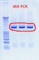 Thumbnail for version as of 14:27, 7 December 2011