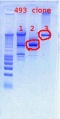 Thumbnail for version as of 13:49, 28 November 2011