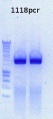 Thumbnail for version as of 11:12, 14 December 2012