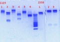 Thumbnail for version as of 18:20, 18 January 2013