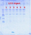 Thumbnail for version as of 13:28, 23 July 2012