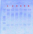Thumbnail for version as of 14:28, 17 August 2012
