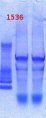 Thumbnail for version as of 16:26, 4 February 2013